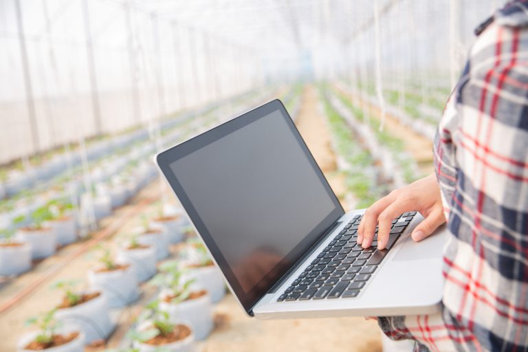 AI technology in agriculture