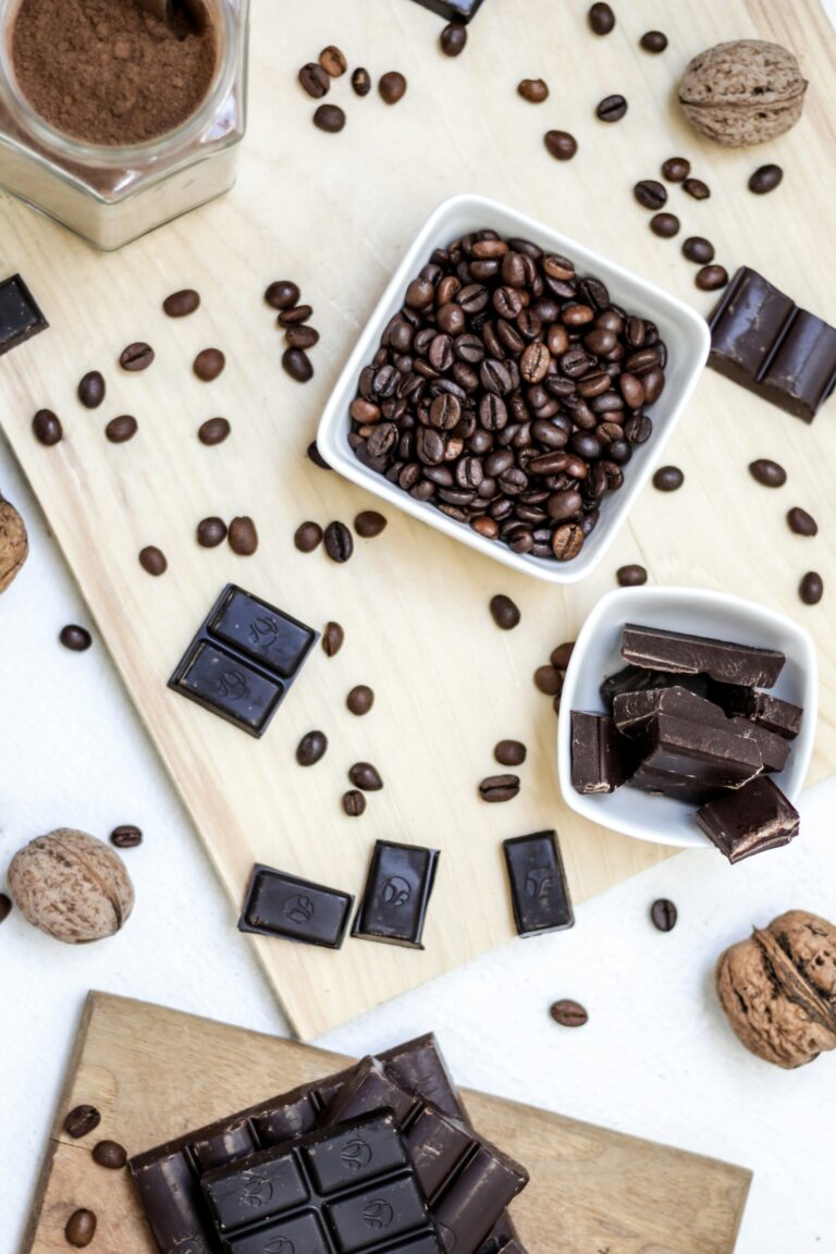 Navigating the Future of Cocoa Traceability with AI Copilots